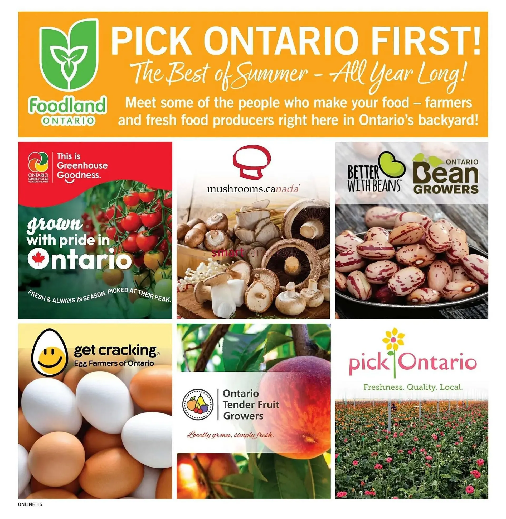 Fortinos flyer from August 7 to August 13 2025 - flyer page 15