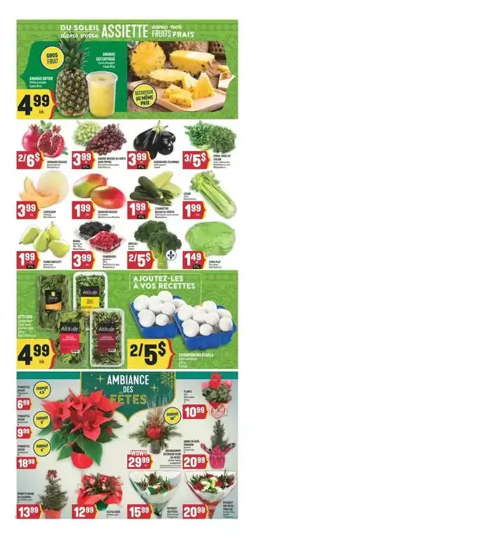 Weekly from November 14 to November 20 2024 - flyer page 4