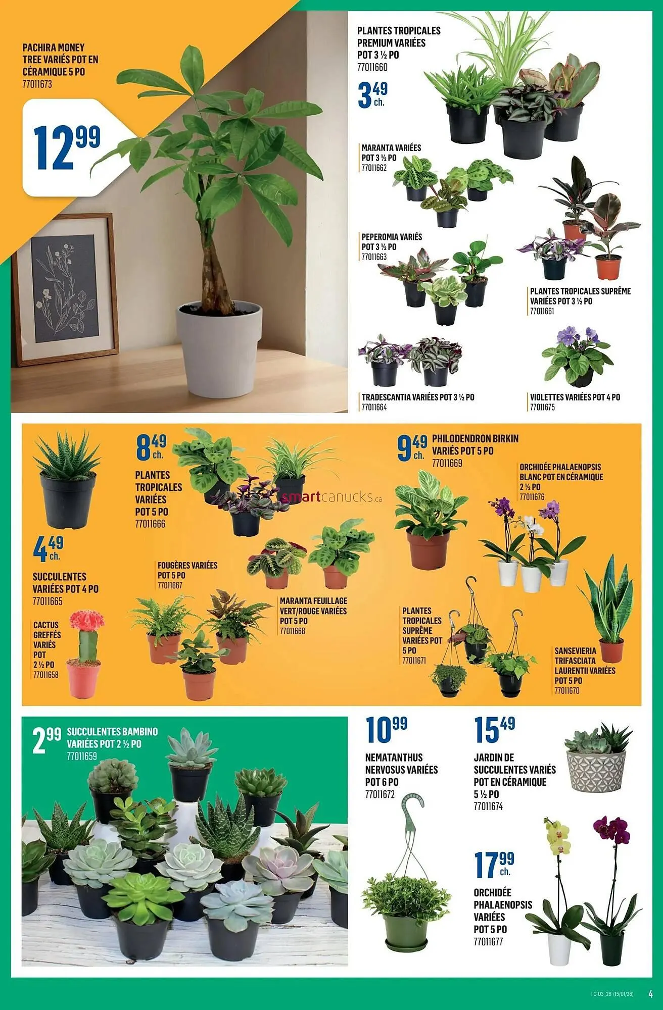 Canac flyer from January 15 to January 21 2026 - flyer page 4