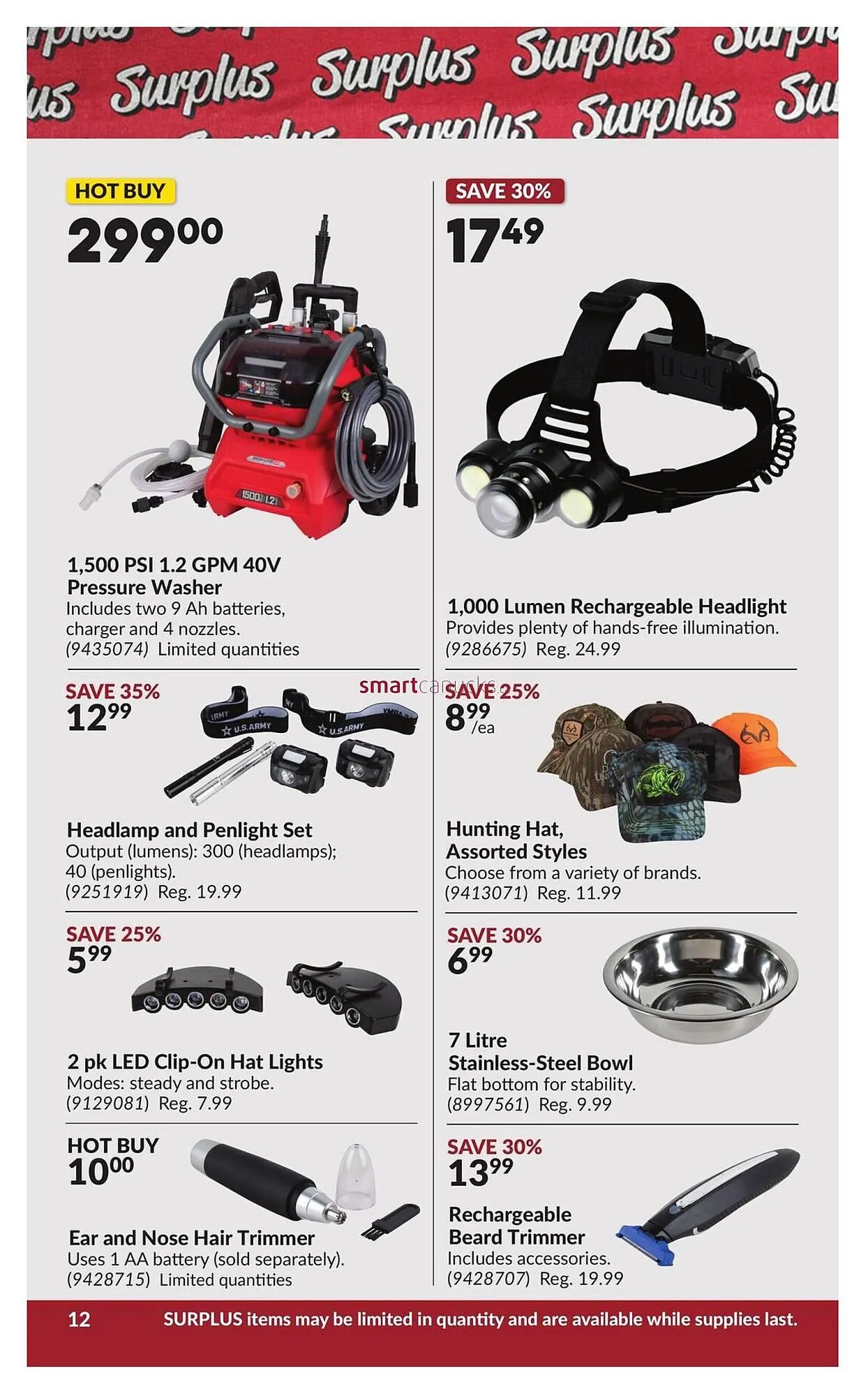 Princess Auto flyer from August 12 to August 24 2025 - flyer page 17