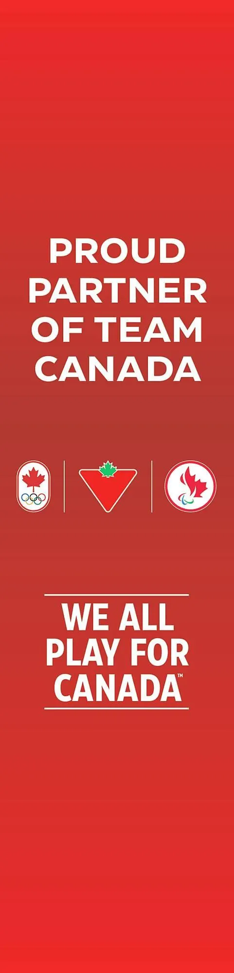 Canadian Tire flyer from February 20 to February 27 2026 - flyer page 17