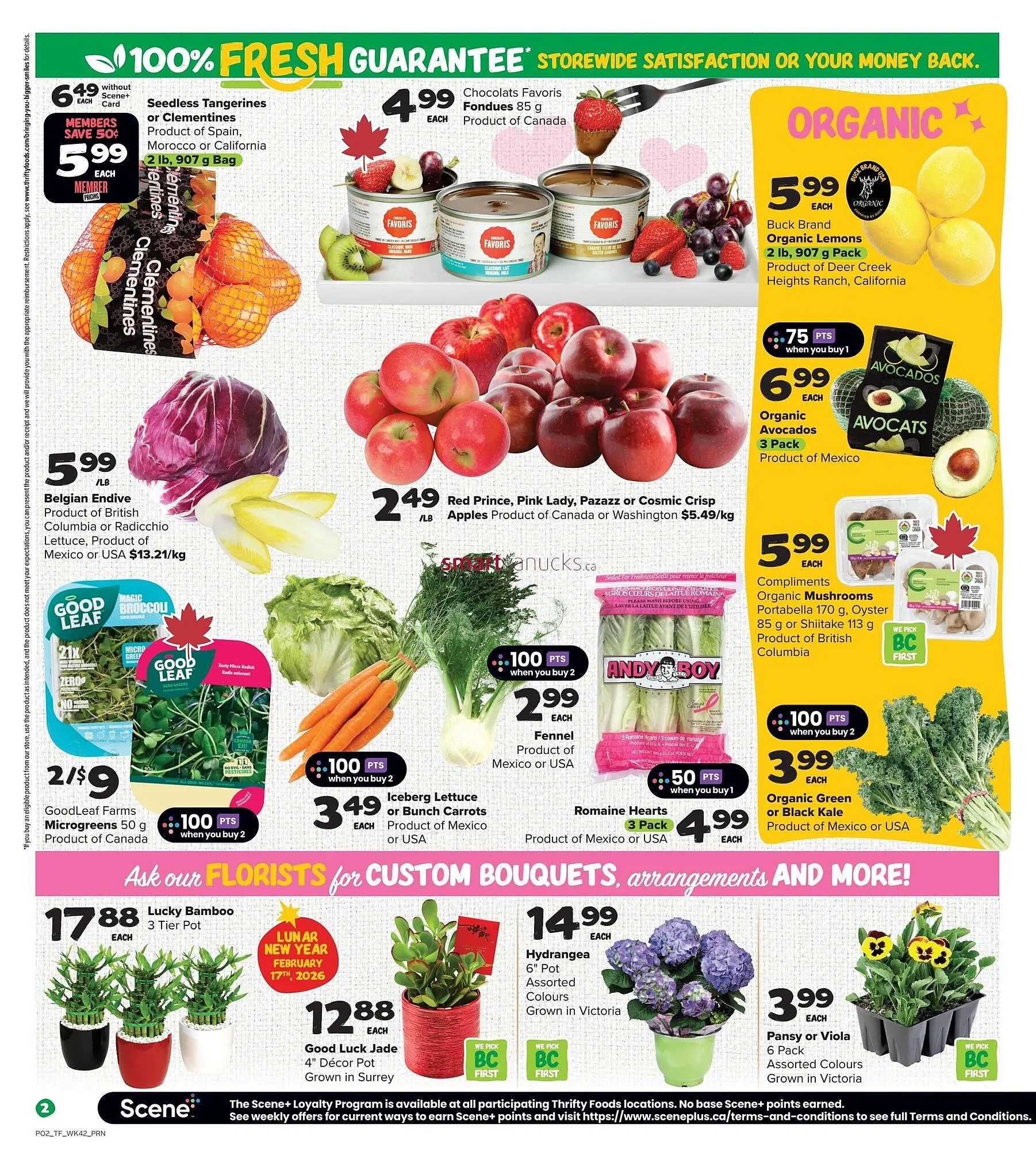 Thrifty Foods flyer from February 12 to February 18 2026 - flyer page 3