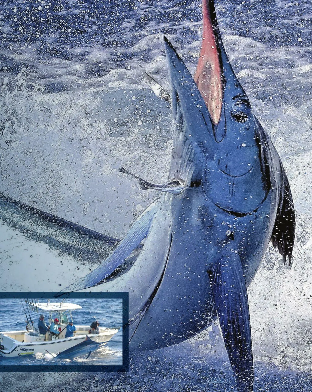 Bass Pro Current flyer from May 5 to May 19 2025 - flyer page 9