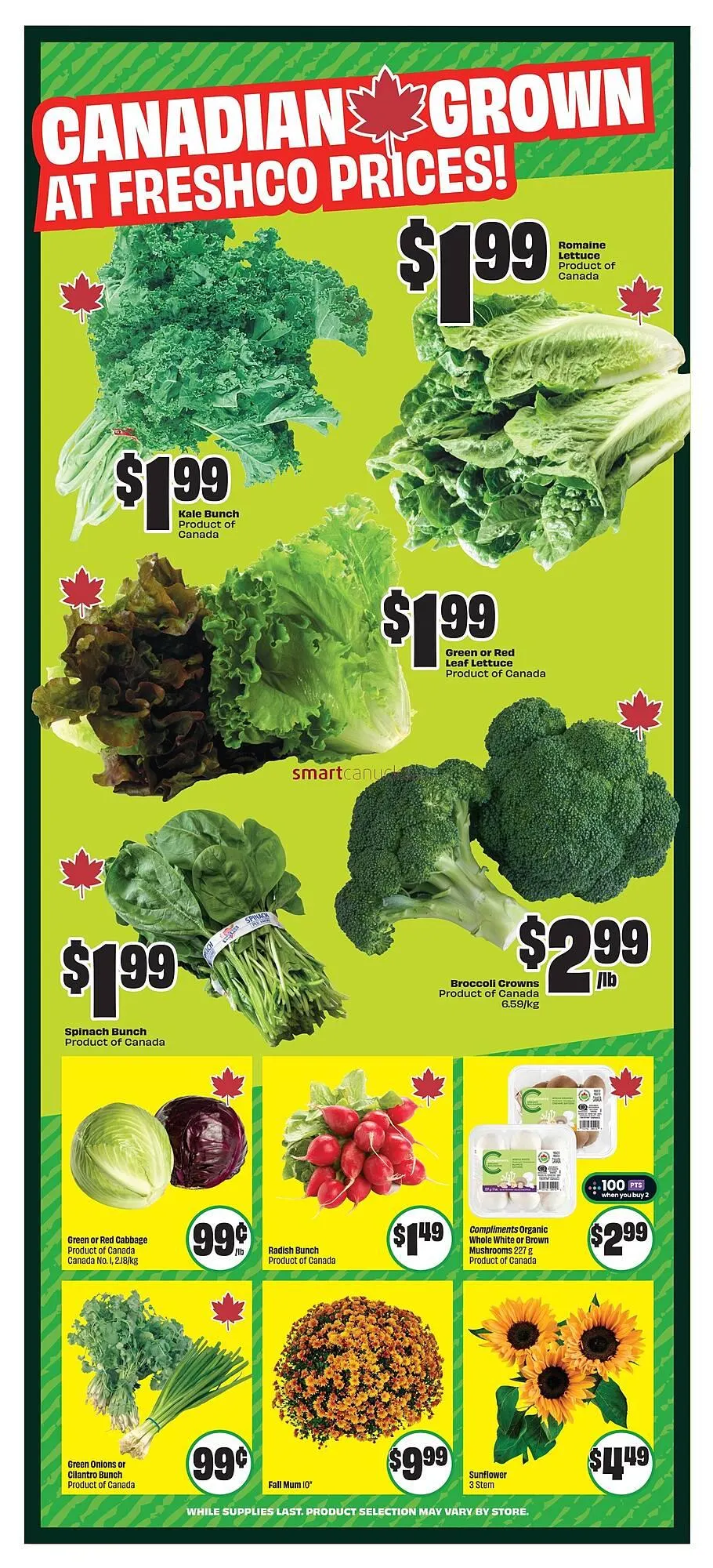 FreshCo flyer from August 14 to August 20 2025 - flyer page 5