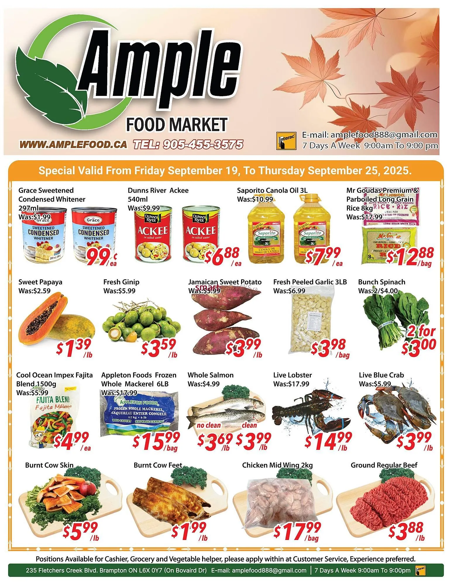 Ample Food Market flyer from September 19 to September 25 2025 - flyer page 1