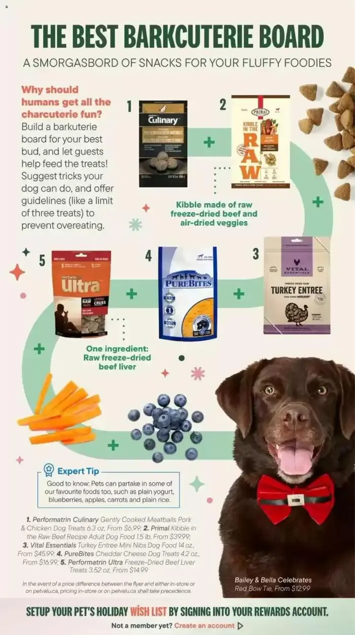 Magic Holiday Moments from December 12 to December 31 2024 - flyer page 27