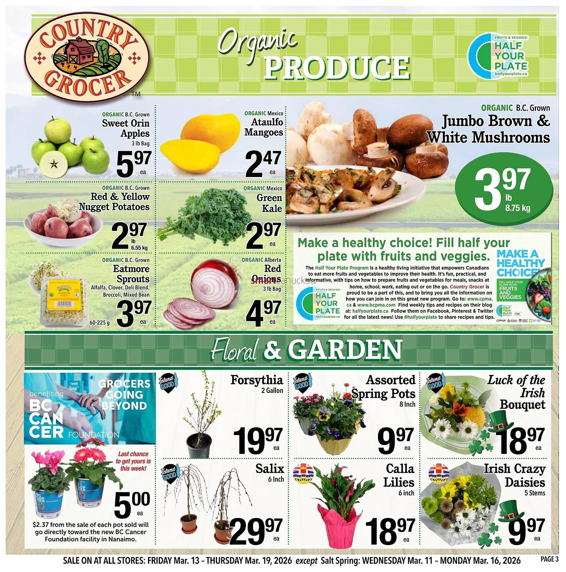 Country Grocer flyer from March 13 to March 19 2026 - flyer page 3