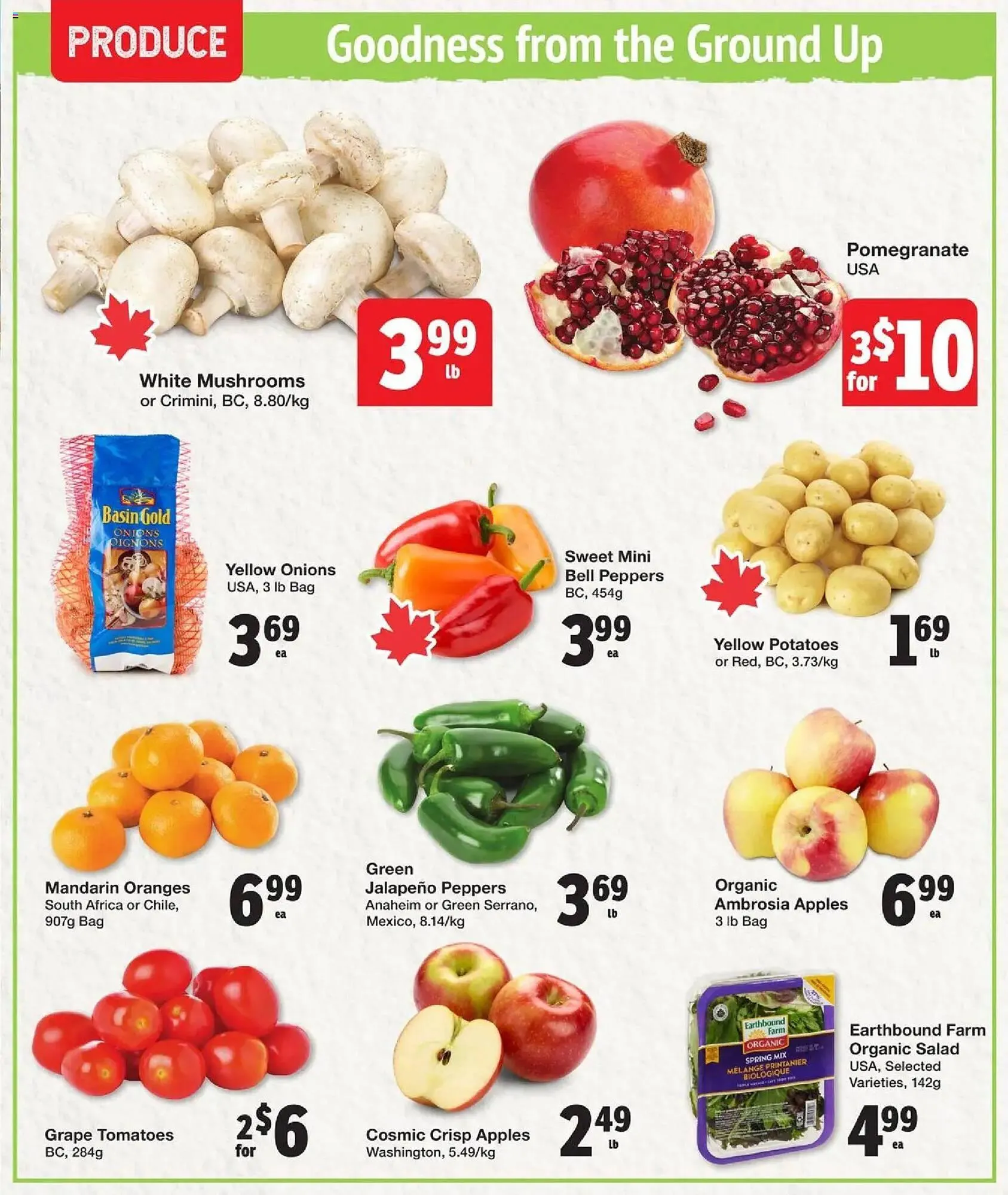 Quality Foods flyer from October 23 to October 29 2025 - flyer page 3
