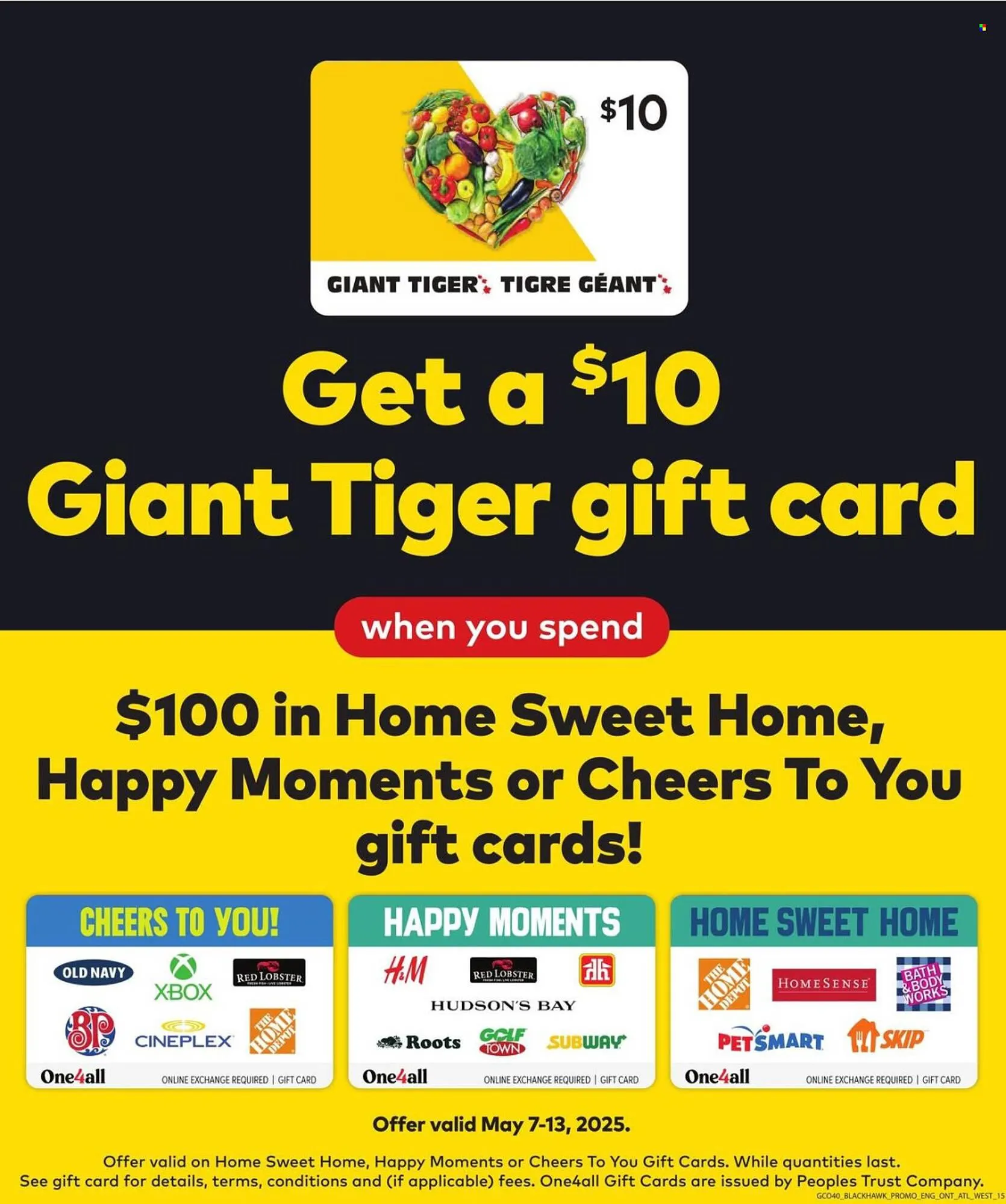 Giant Tiger flyer from May 7 to May 13 2025 - flyer page 17