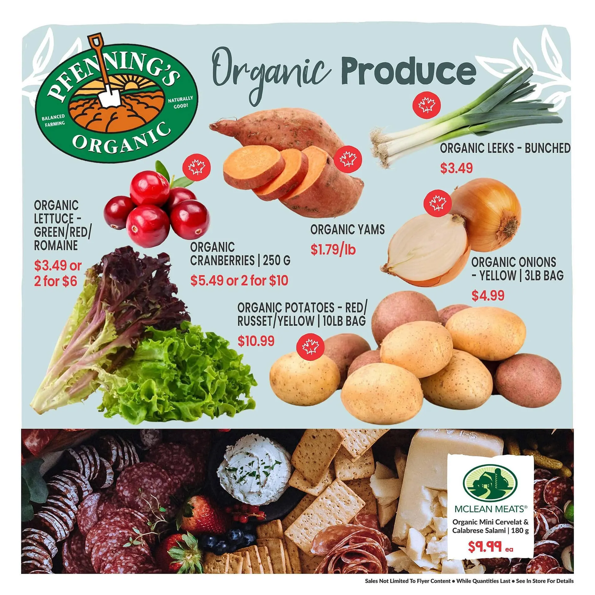 Goodness Me flyer from December 17 to January 6 2026 - flyer page 3