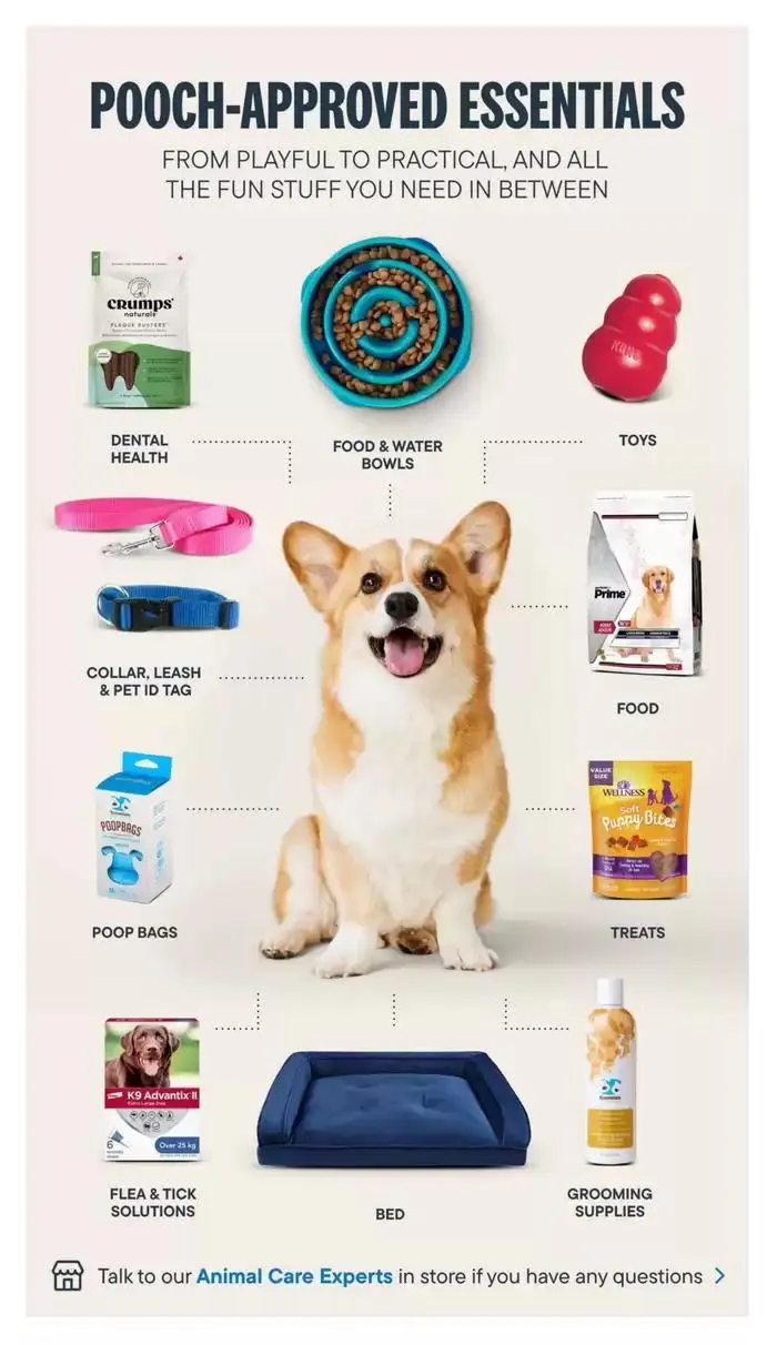 Devoted Dog Parent Guide from March 3 to March 31 2025 - flyer page 5