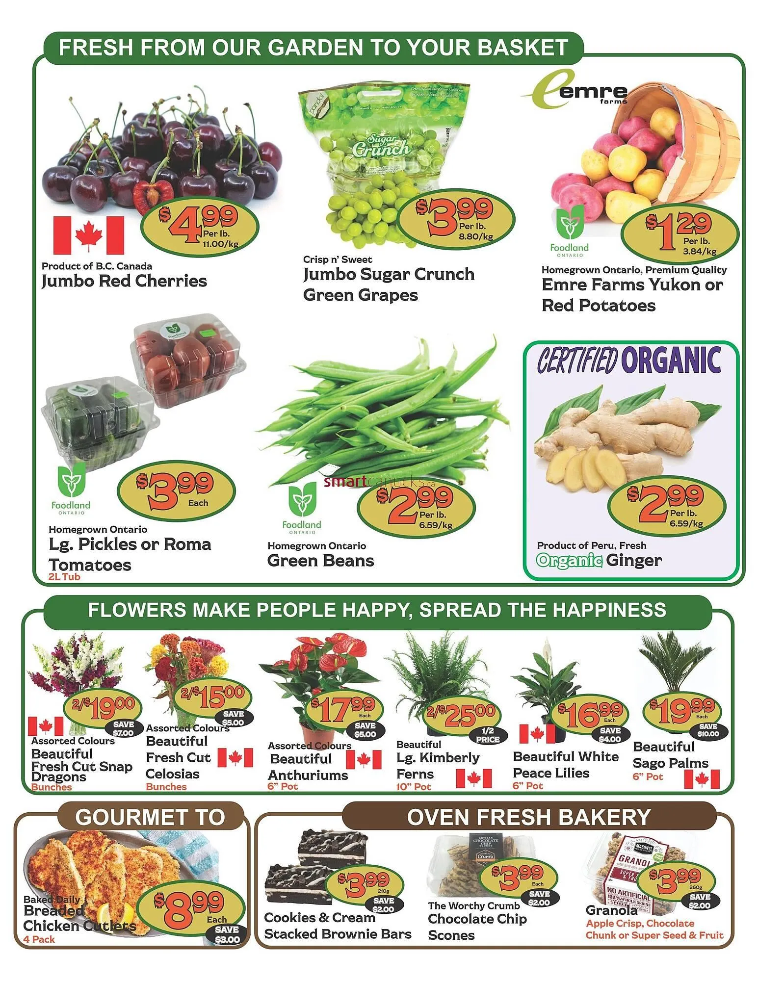 The Garden Basket flyer from August 14 to August 20 2025 - flyer page 2