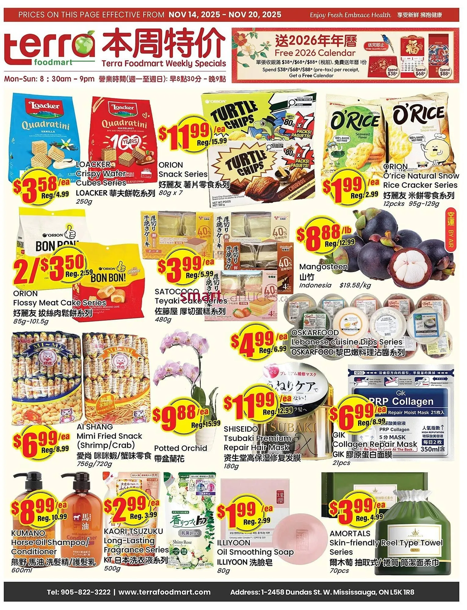 Terra Foodmart flyer from November 13 to December 10 2025 - flyer page 1