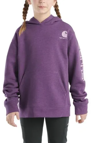 Carhartt Graphic Hooded Long-Sleeve Sweatshirt for Kids