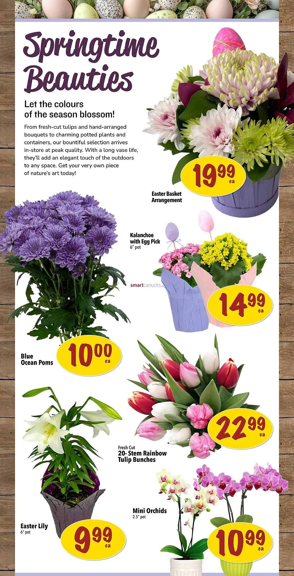 Farm Boy flyer from April 17 to April 23 2025 - flyer page 5