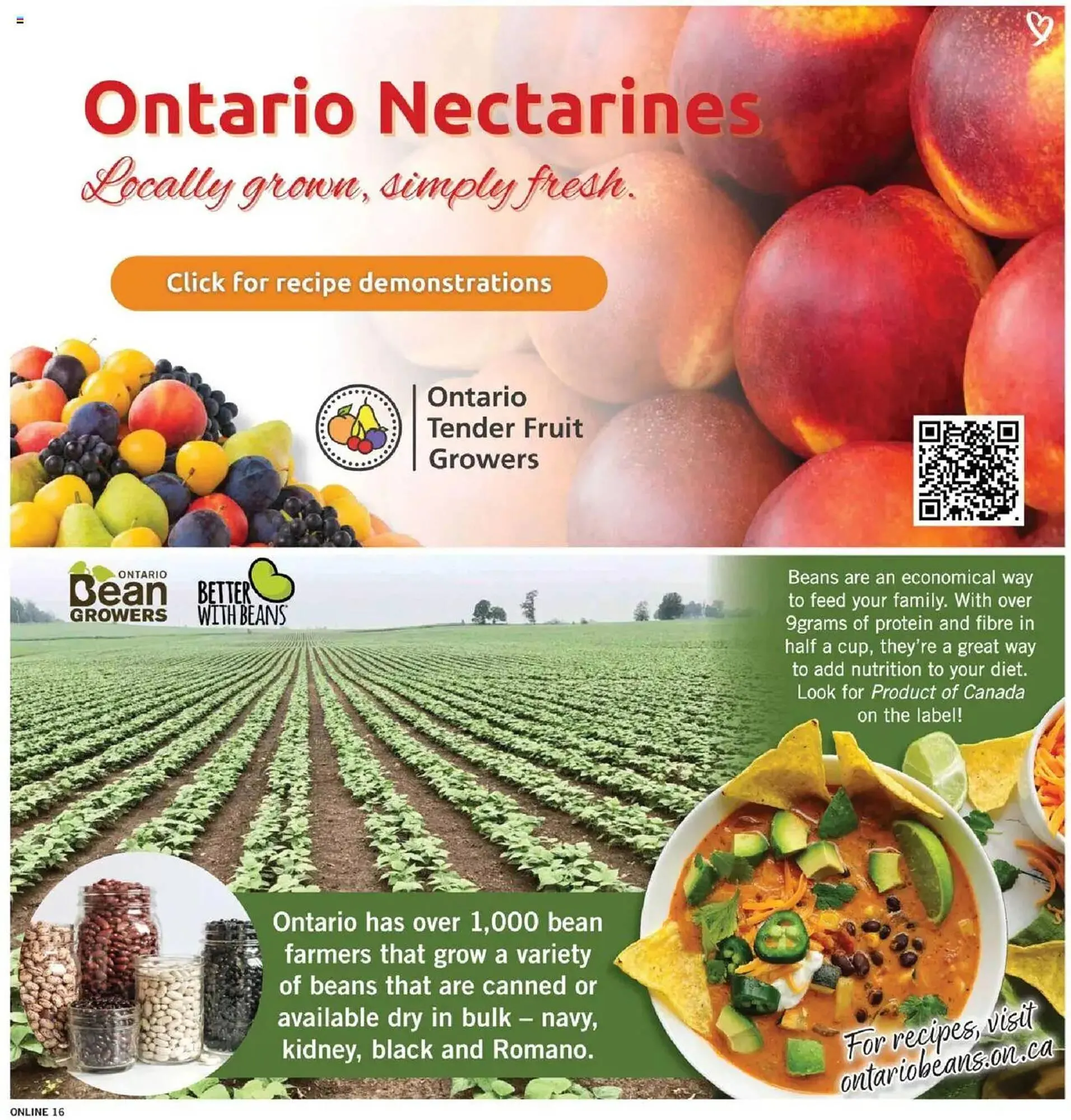 Fortinos flyer from July 31 to August 7 2025 - flyer page 16