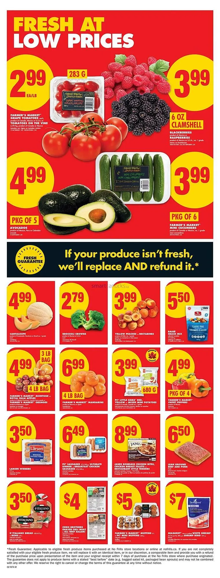 No Frills flyer from February 19 to February 25 2026 - flyer page 4