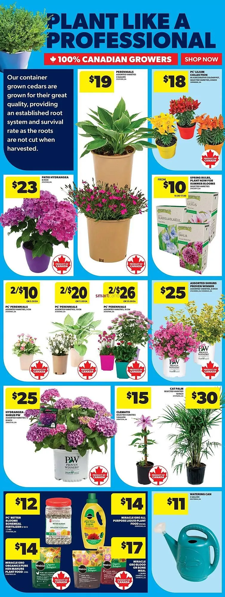 Real Canadian Superstore flyer from May 22 to May 28 2025 - flyer page 46