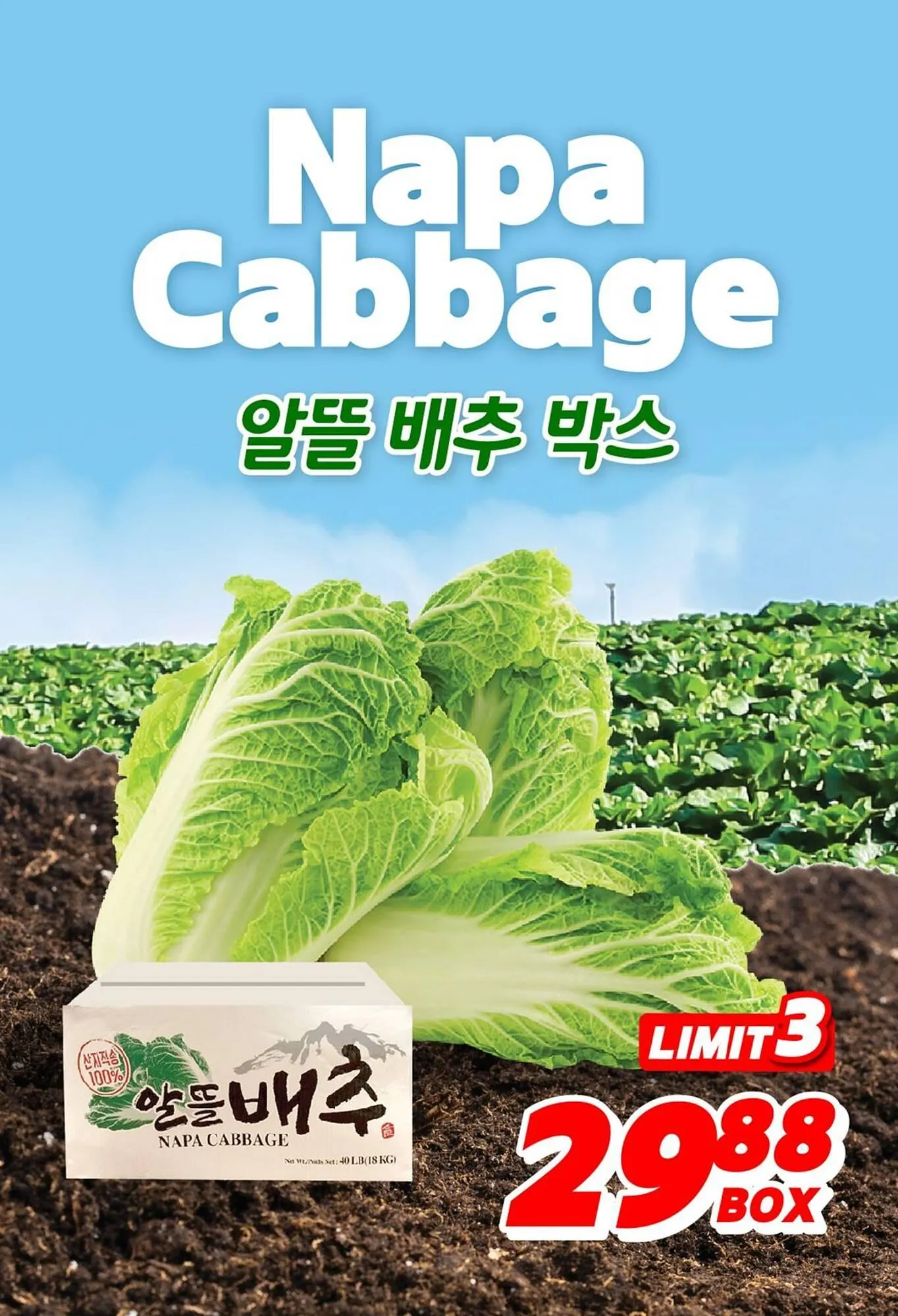 H-Mart flyer from April 9 to April 15 2025 - flyer page 4