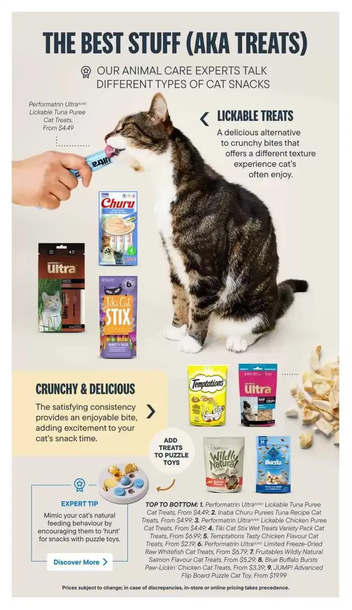 Devoted Cat Parent Guide from March 3 to March 31 2025 - flyer page 12