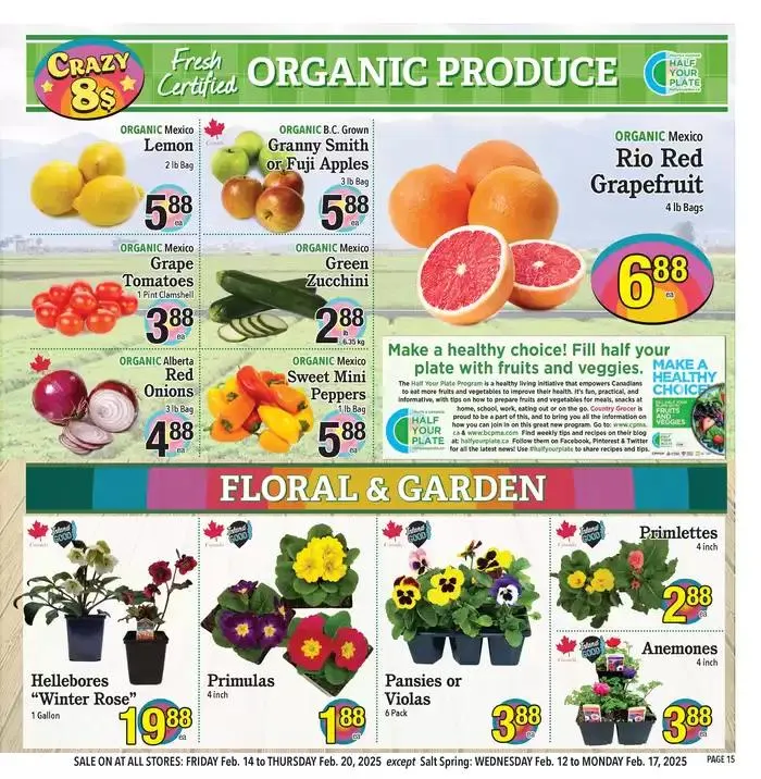 Our best bargains from February 12 to February 26 2025 - flyer page 15