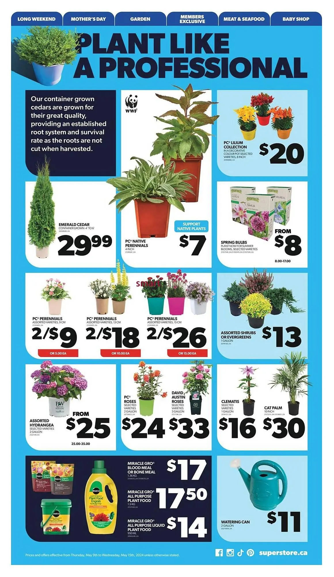 Real Canadian Superstore flyer from May 9 to May 15 2024 - flyer page 37