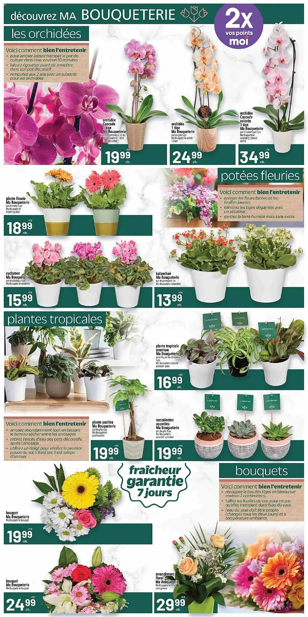 Metro flyer from February 5 to February 12 2026 - flyer page 8