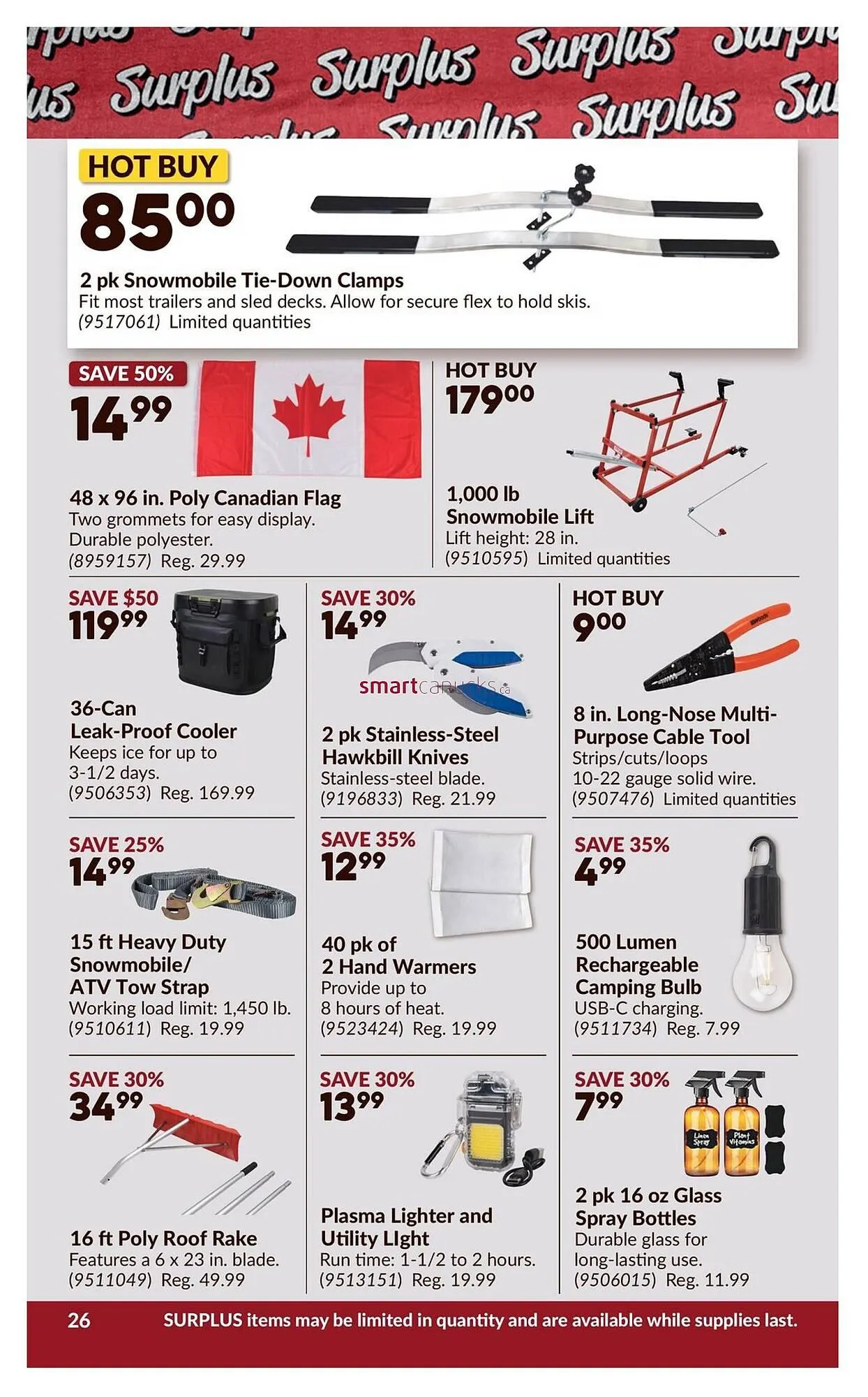 Princess Auto flyer from November 27 to December 2 2025 - flyer page 31