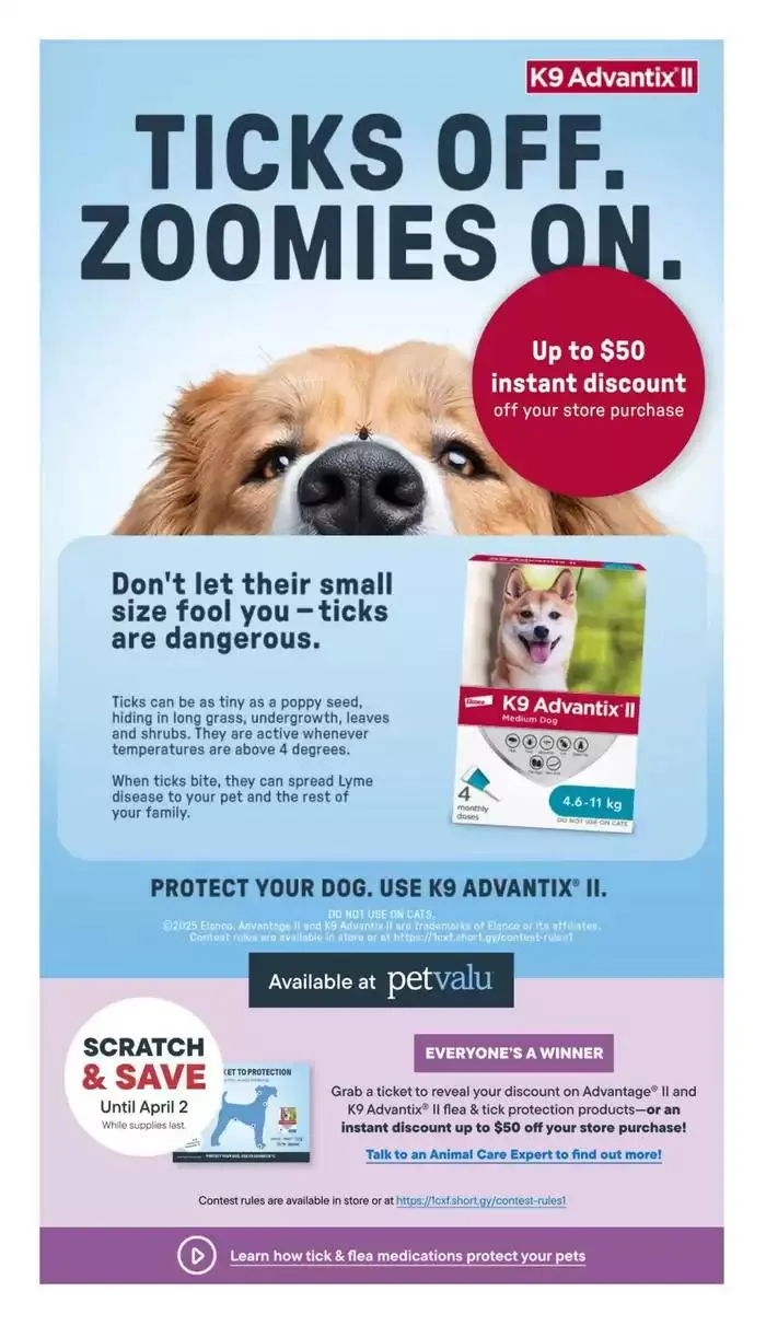 Spring into Savings from March 13 to April 2 2025 - flyer page 6