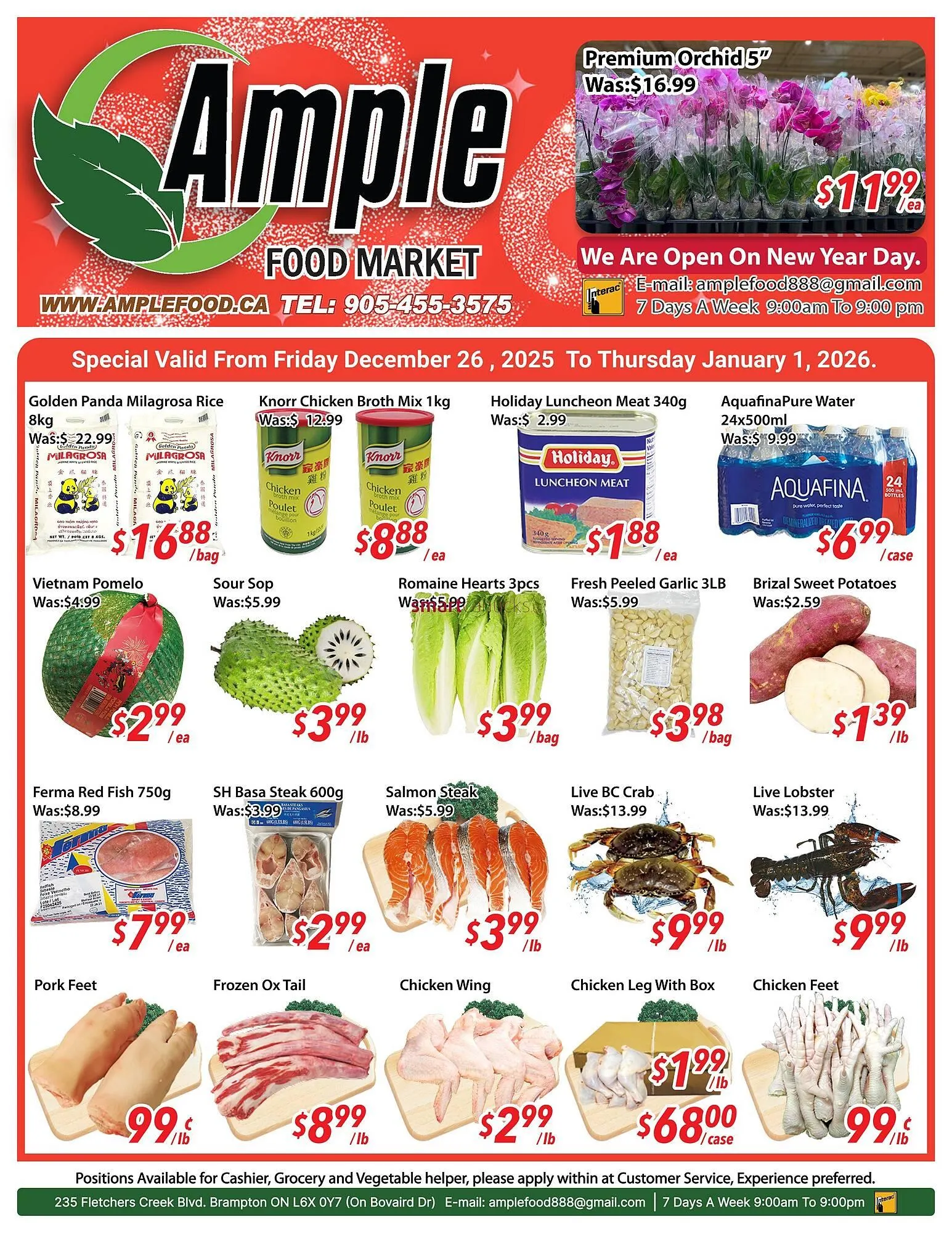 Ample Food Market flyer from December 26 to January 1 2026 - flyer page 1