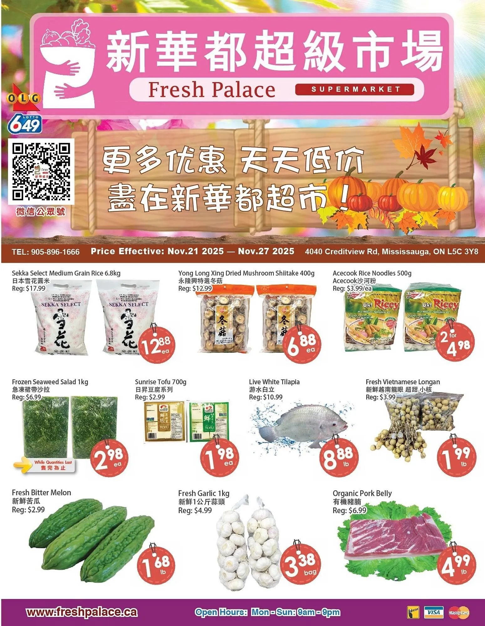Fresh Palace Supermarket flyer from November 20 to November 27 2025 - flyer page 1