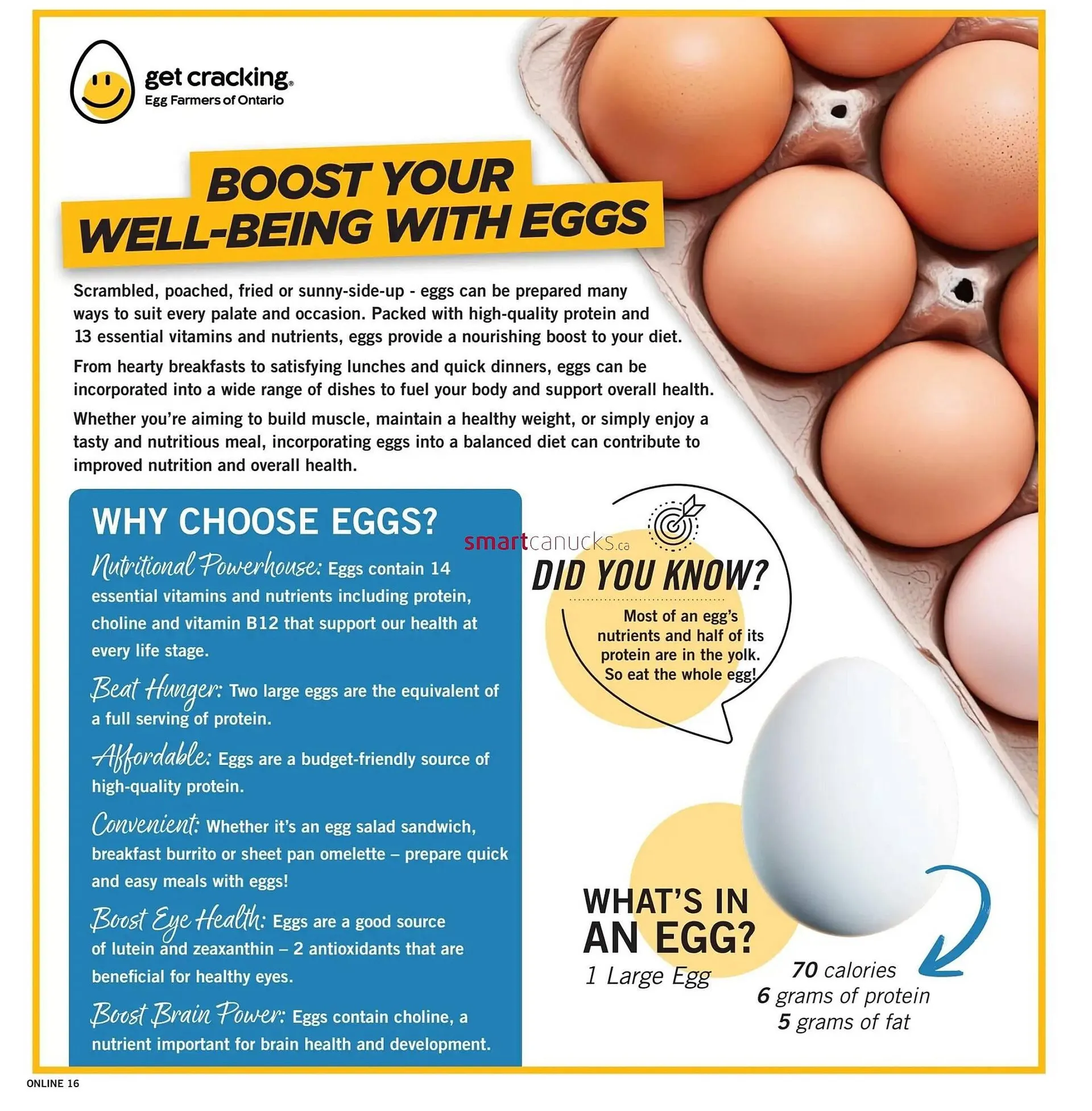 Fortinos flyer from August 1 to August 7 2024 - flyer page 16