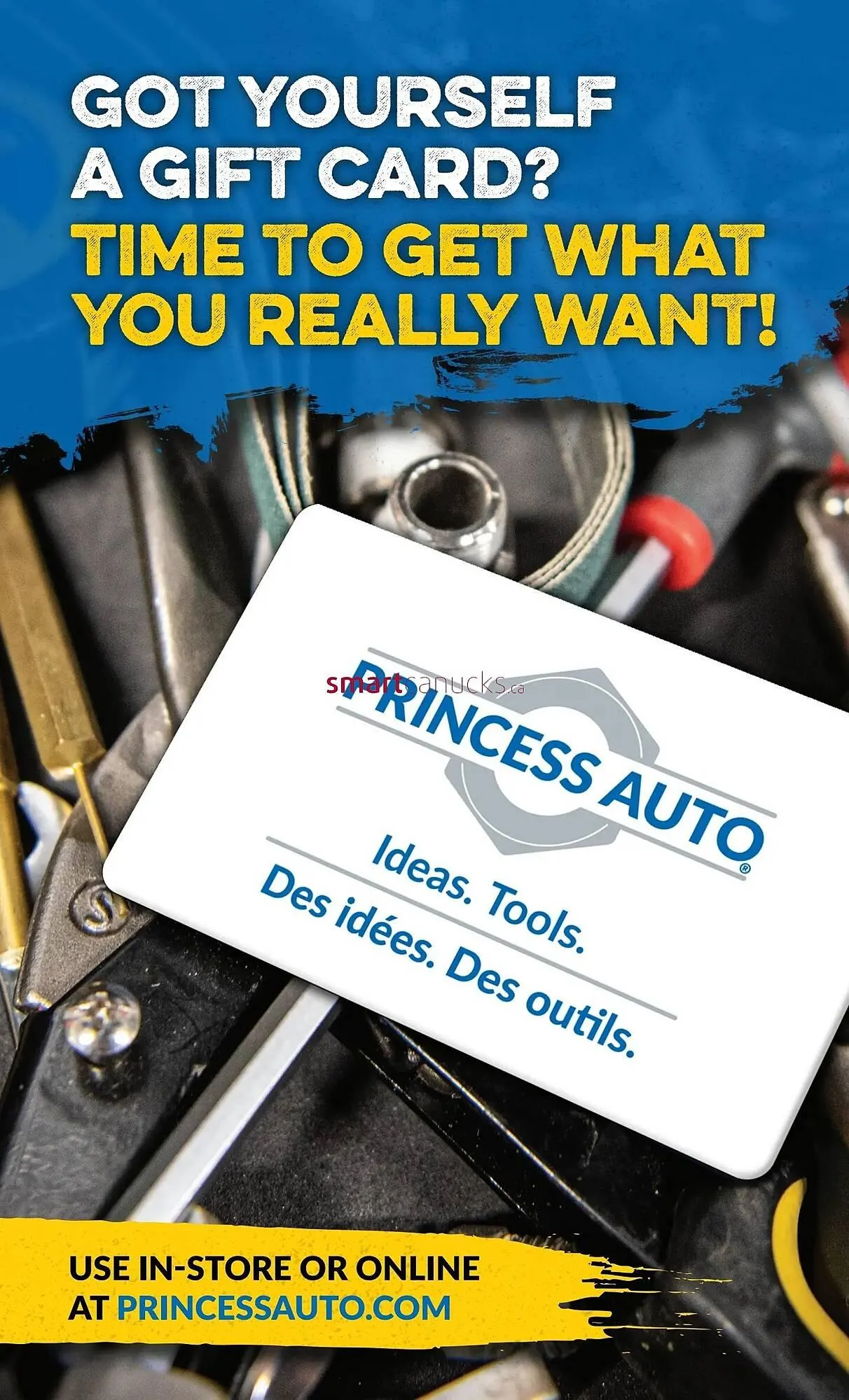 Princess Auto flyer from July 3 to July 9 2025 - flyer page 48