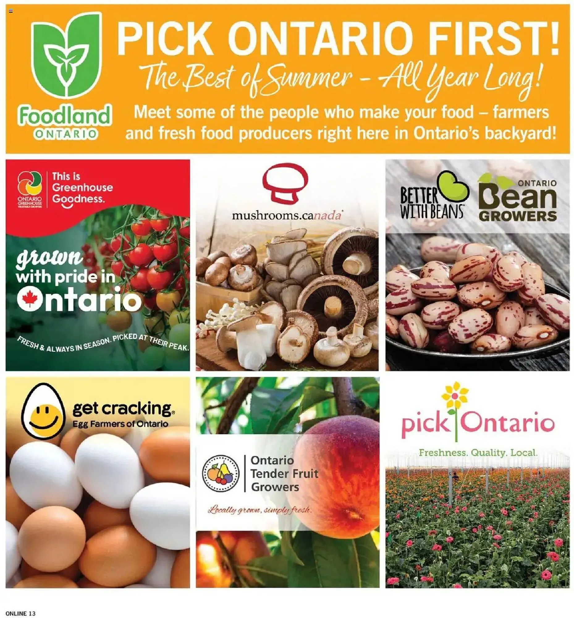 Fortinos flyer from July 31 to August 7 2025 - flyer page 13