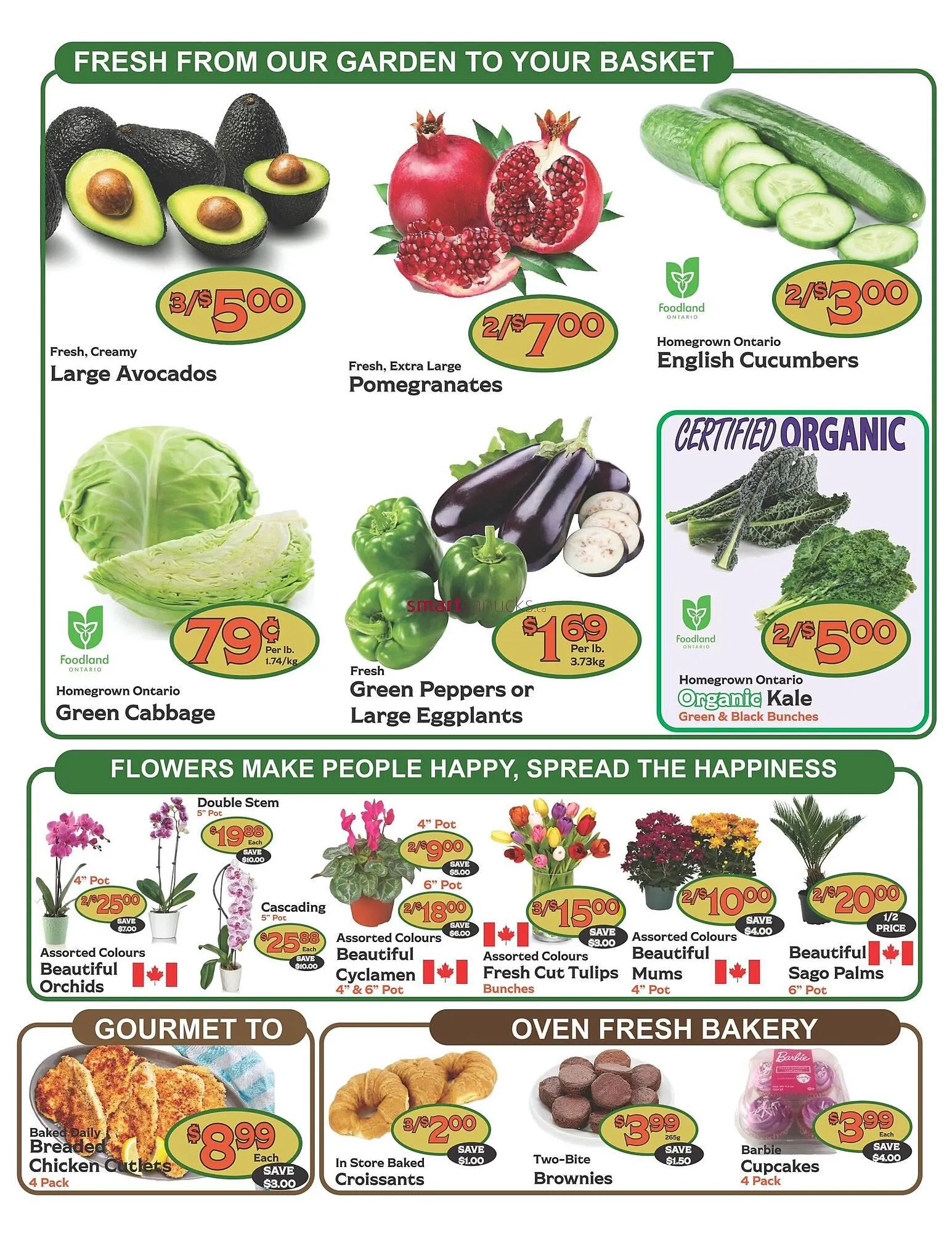 The Garden Basket flyer from October 23 to October 29 2025 - flyer page 2