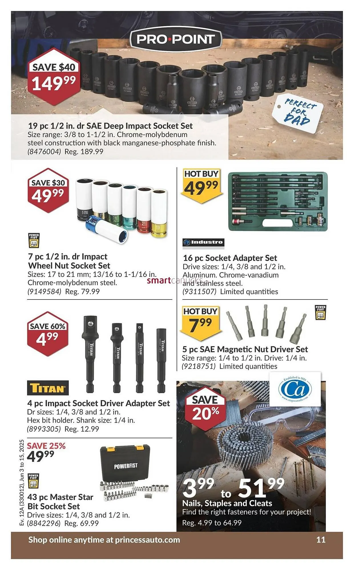 Princess Auto flyer from May 28 to June 3 2025 - flyer page 25