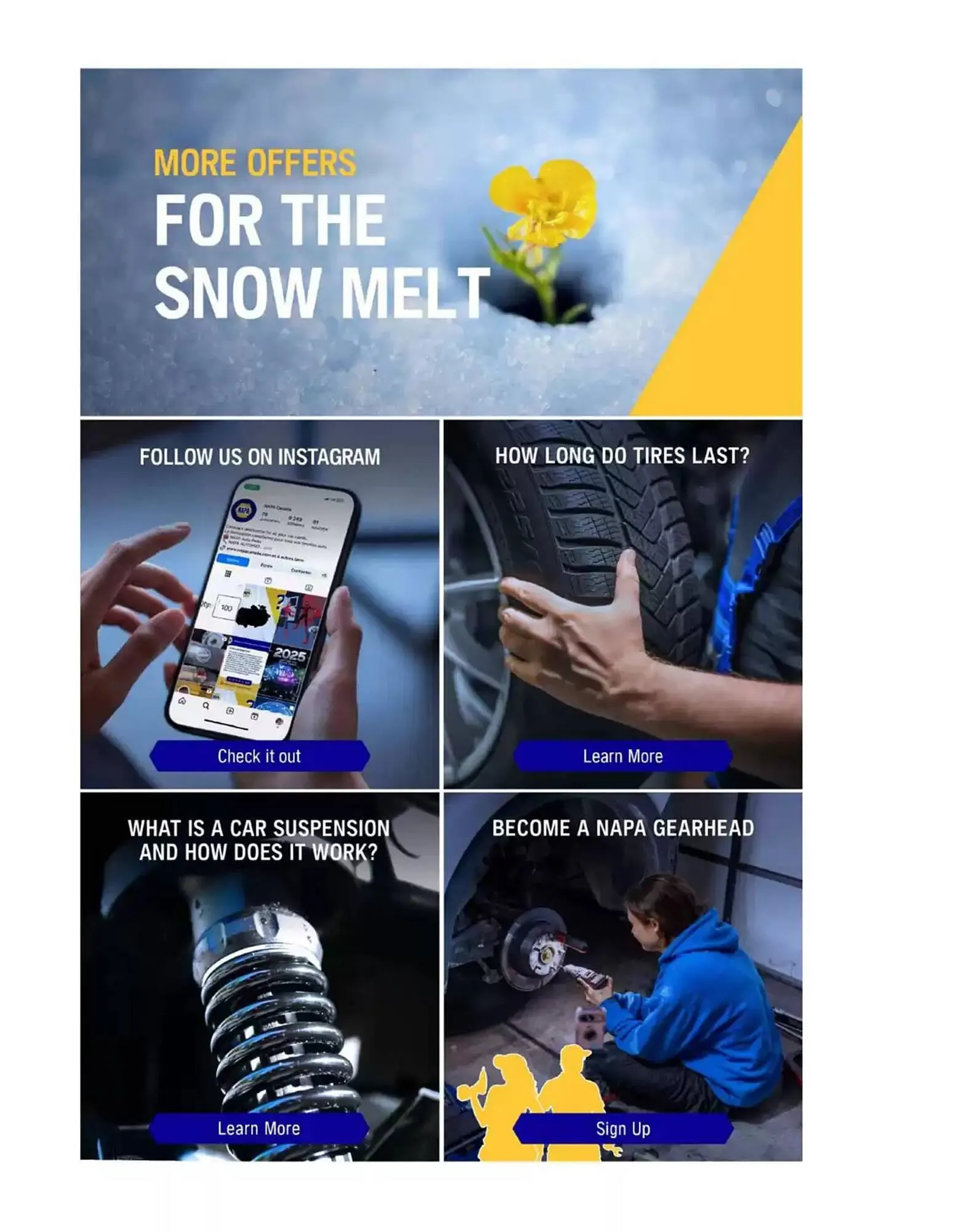 NAPA Auto Parts flyer from March 1 to March 31 2025 - flyer page 9