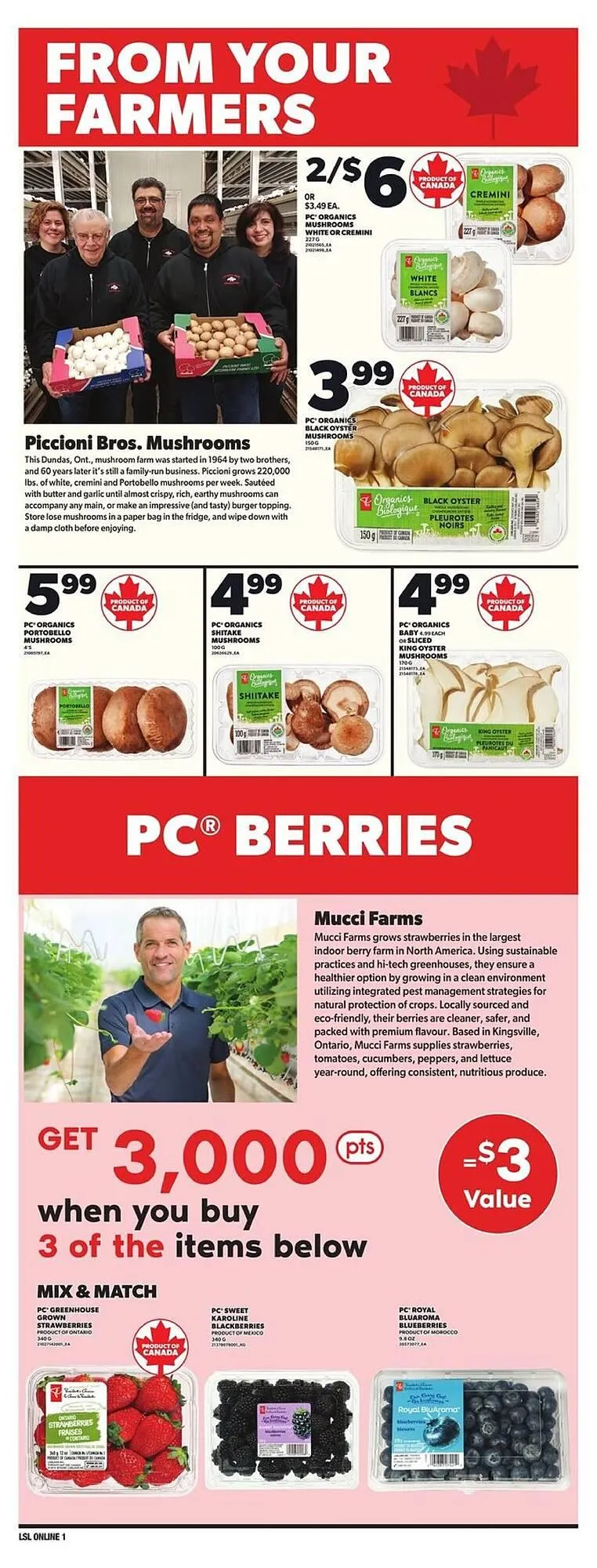Loblaws flyer from March 27 to April 3 2025 - flyer page 9