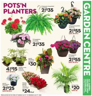 Longo's Flyer from May 21 to May 27 2026 - flyer page 7