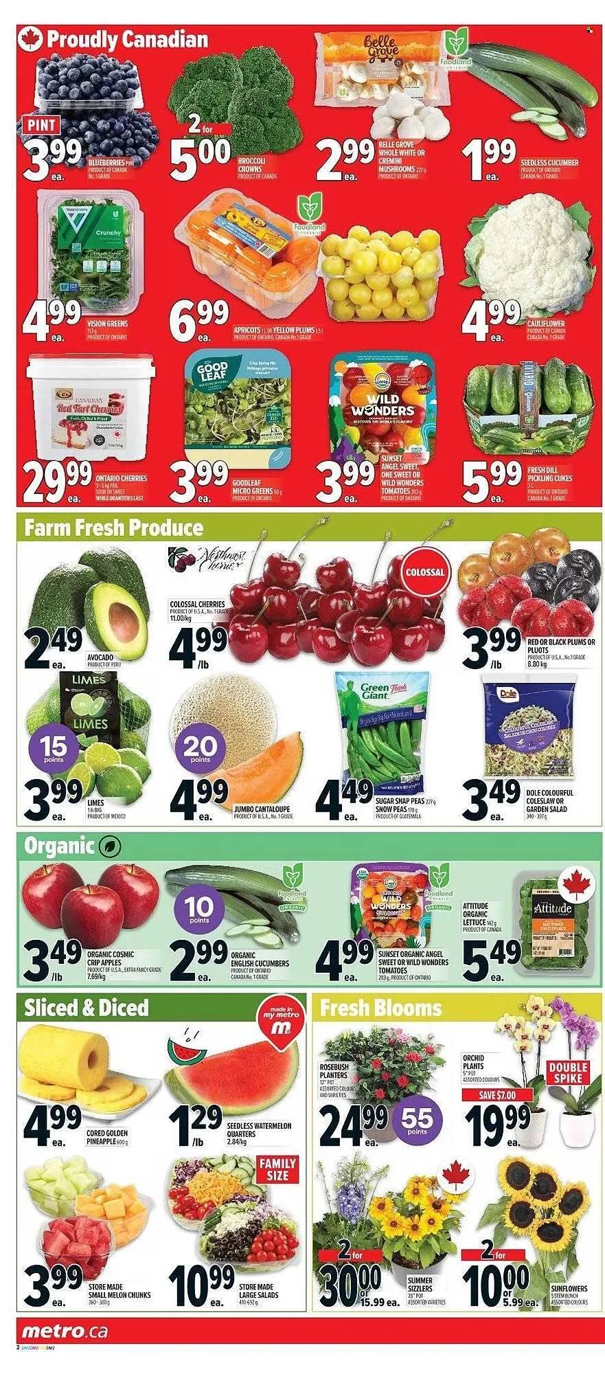 Metro flyer from July 17 to July 23 2025 - flyer page 5