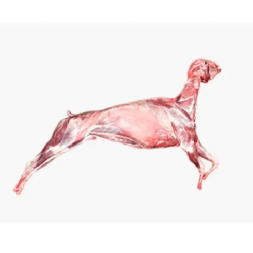Whole Goat With Head & Liver