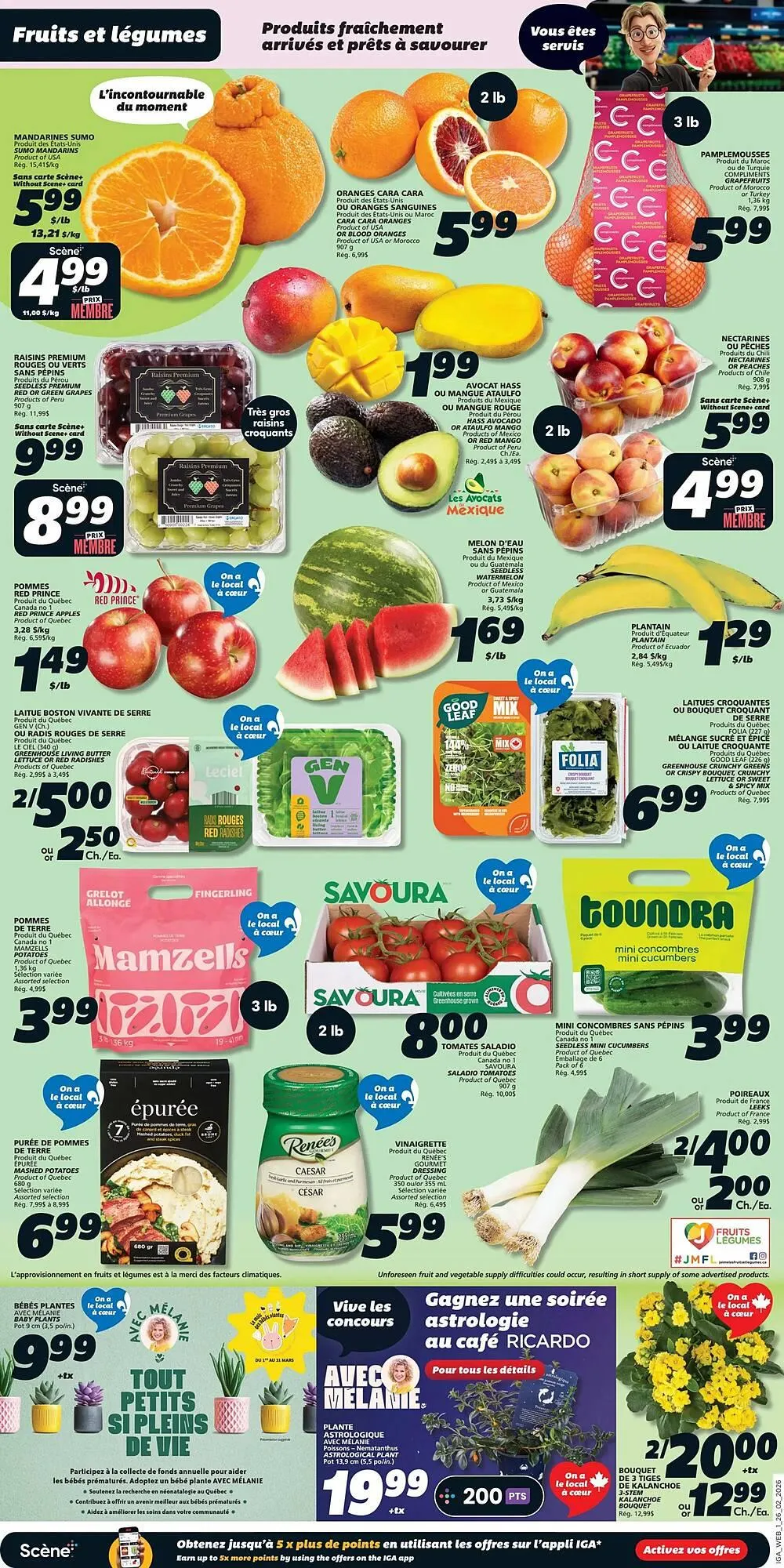 IGA flyer from February 26 to March 4 2026 - flyer page 3