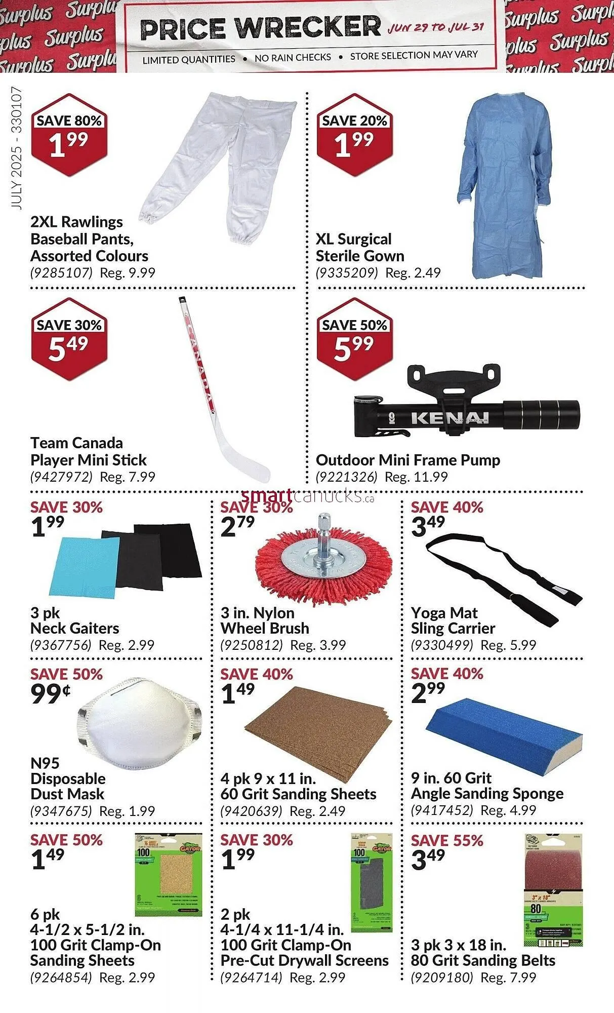 Princess Auto flyer from June 29 to July 5 2025 - flyer page 17