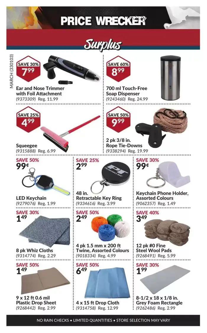 Attractive special offers for everyone from March 1 to March 31 2025 - flyer page 11