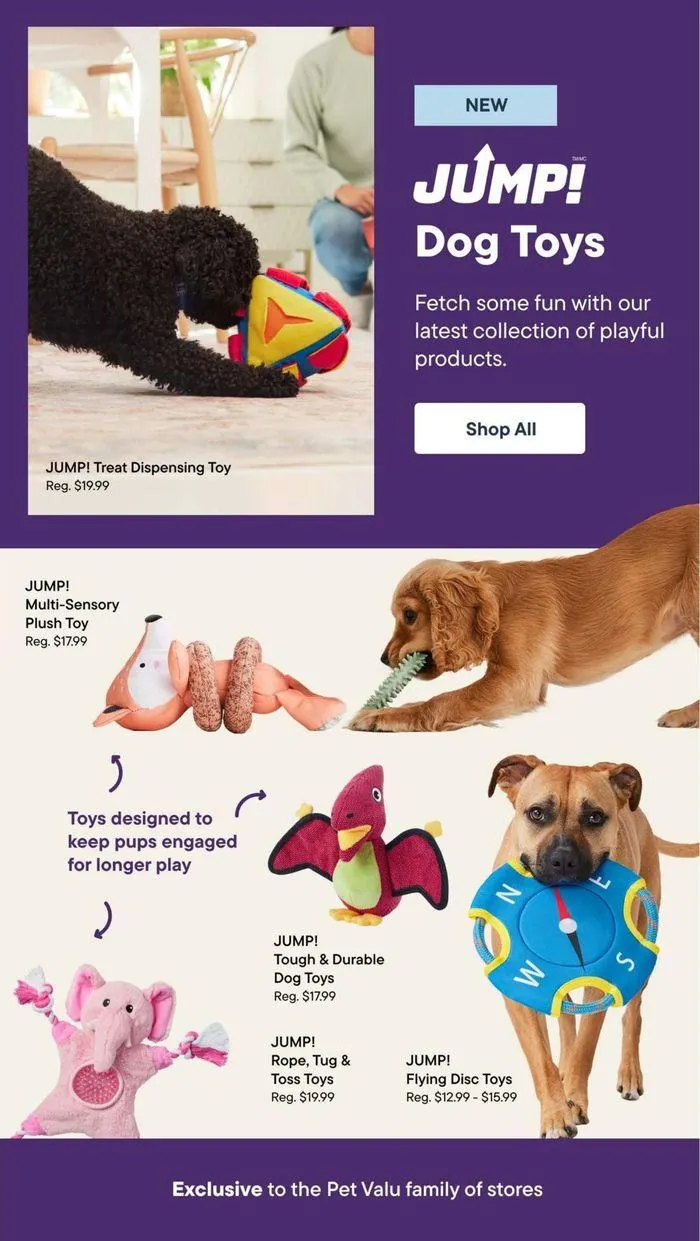 Anniversary Sale from September 23 to October 2 2024 - flyer page 17