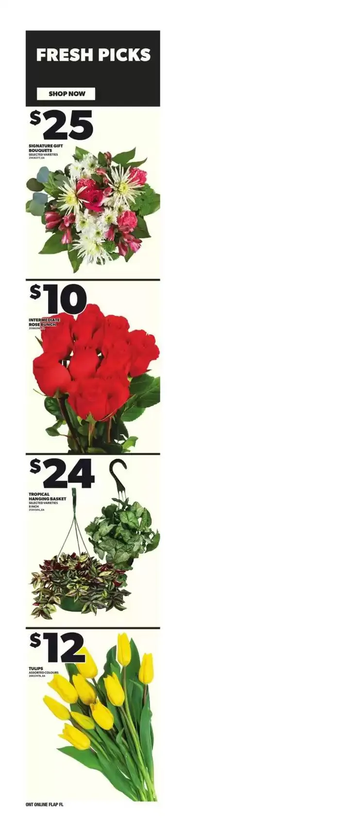 Weekly Flyer from January 9 to January 15 2025 - flyer page 10