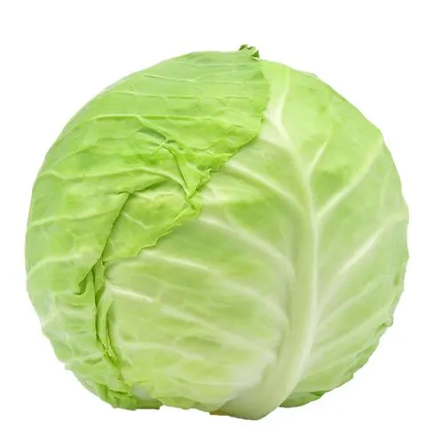 Jumbo Cabbage