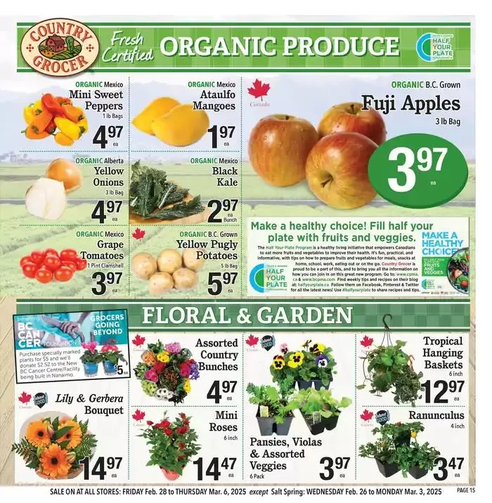 Special offers for you from February 26 to March 12 2025 - flyer page 15