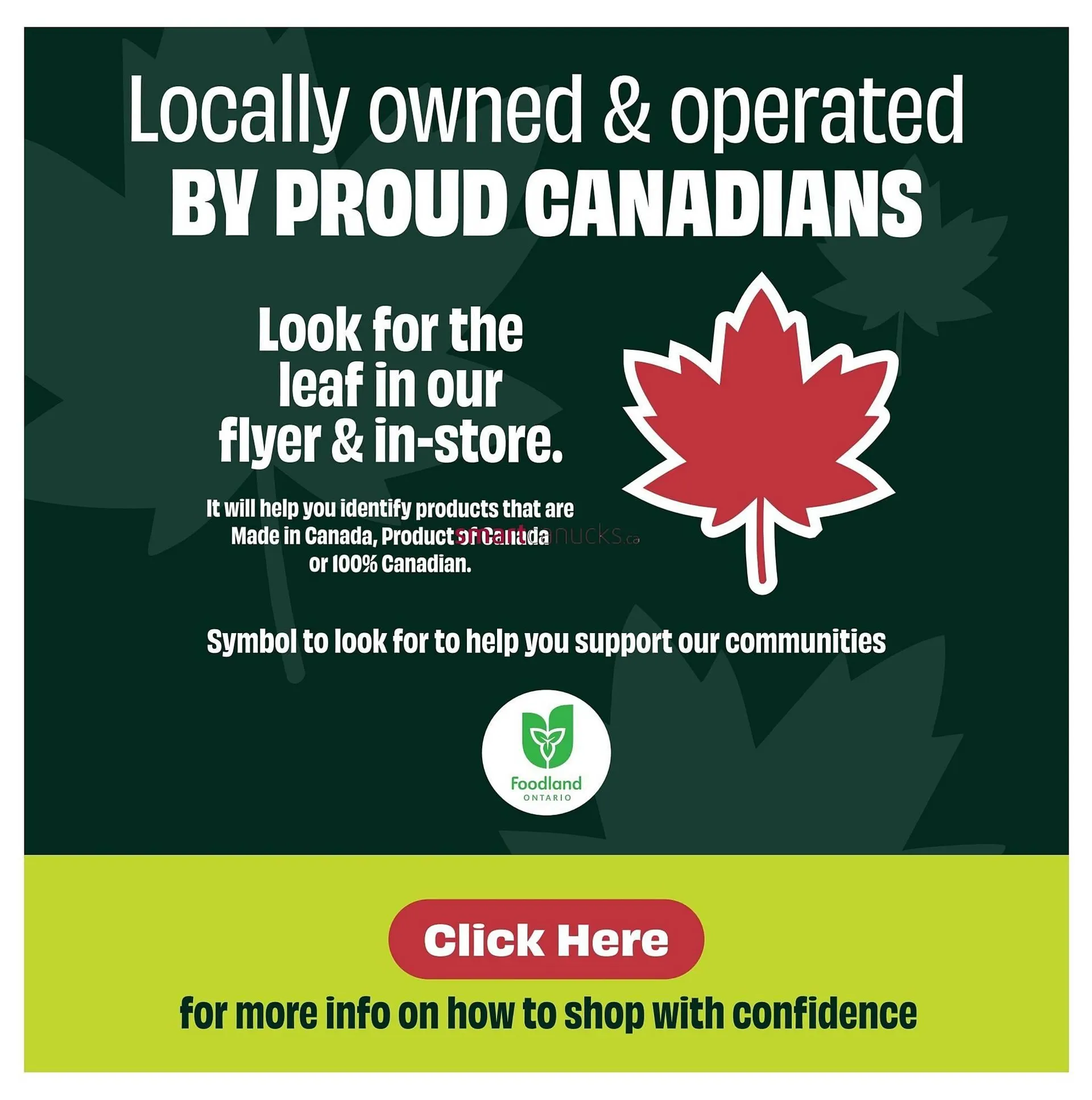 FreshCo flyer from June 5 to June 11 2025 - flyer page 2