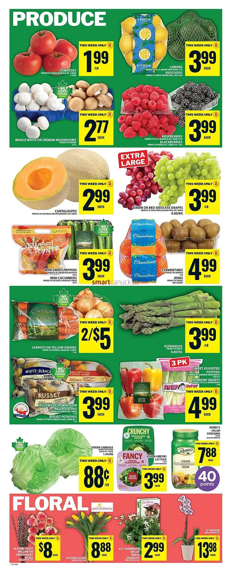 Food Basics flyer from March 12 to March 18 2026 - flyer page 6